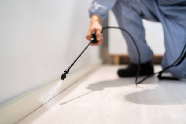 Certified termite inspector examining foundation in Lakes East