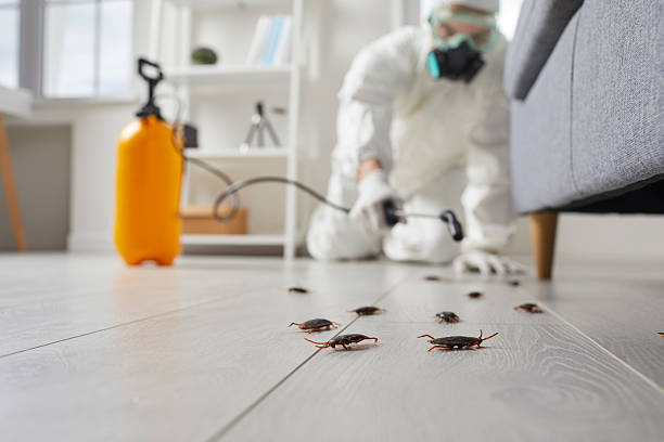 Post-Treatment Bed Bug Interceptor Monitoring in Lakes East