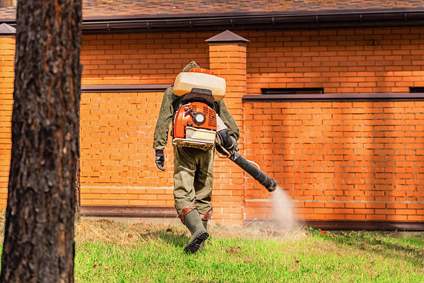 Bed Bug Clearance Verification and Documentation in Lakes East